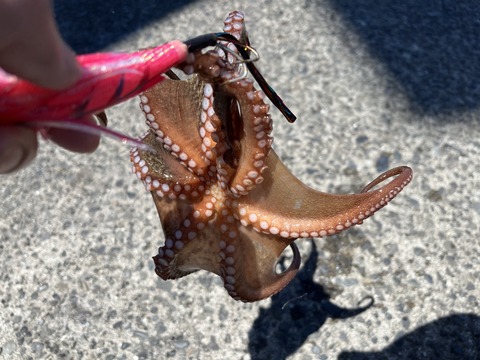 3CE84DAC-4251-4800-8210-80C23233DCAA