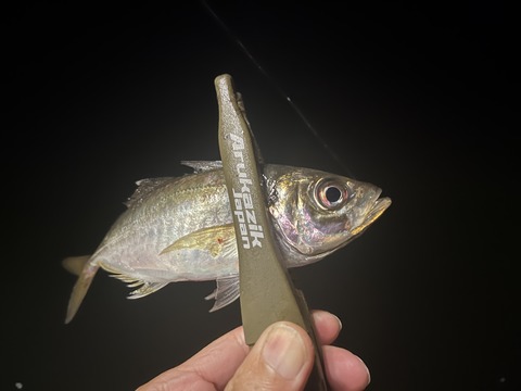 0E816030-6726-4BC9-A7A3-F995F87FE0DE