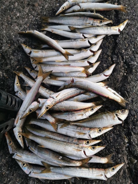 IMG_20200107_063251_1_BURST001_COVER