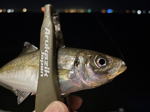 ECDC1830-087B-4E0A-B452-88DA099465BF