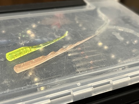 C95552A3-DC3B-4CAF-A32F-30EBA470DA29