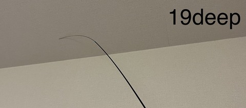 8D9A88DD-034C-49D2-A15F-37F2D4DFCD1F