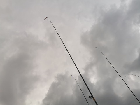IMG_20200915_174806