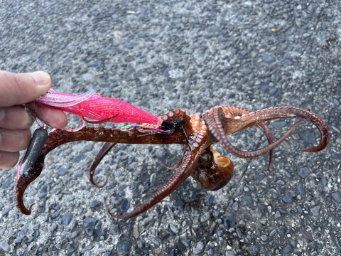 99325C1B-0D01-4F50-97B0-C32D940C05C7