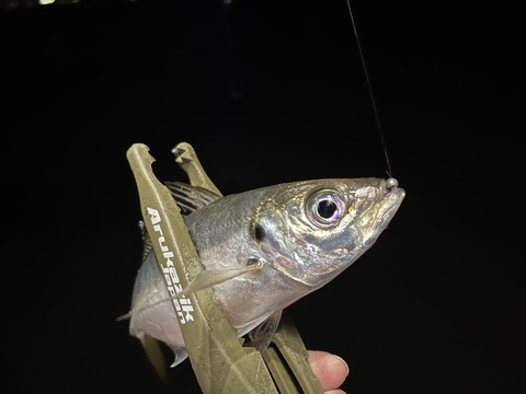 5E2122BA-9F4A-44AB-98A8-8A411D7FC9DF