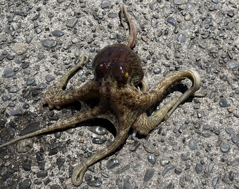 E050927B-5D9F-4AE1-BEA9-5FFC25C3FEDD