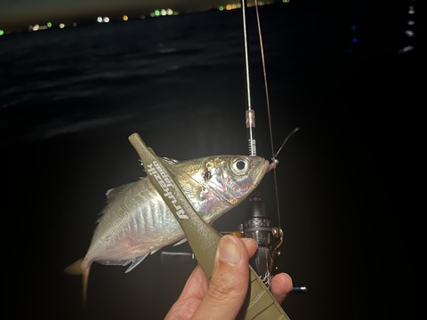 31CDF996-C9F4-4651-BEBA-0FCA5168187F