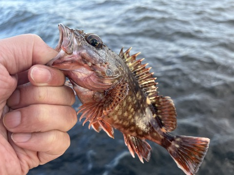 F93D5841-AFAE-42DA-A7BE-A02F604593AF