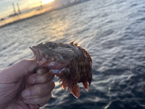 9C752868-9612-43E4-9A74-58321353E1C6