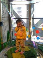 ����ܥ��