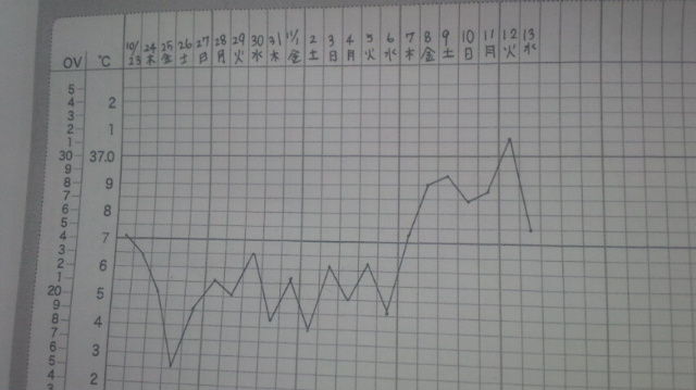 体温下がる ブログ 高温期11日目