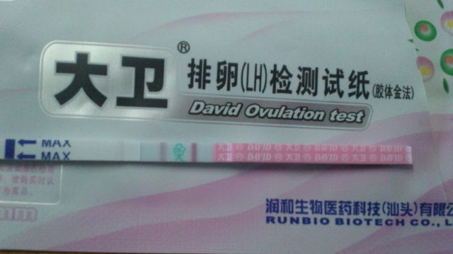 Day42 改めて 排卵検査薬の使い方 多嚢胞性卵巣と糖尿病とベビ待ちブログ Day42 改めて 排卵検査薬の使い方 多嚢胞性卵巣と糖尿病とベビ待ちブログ