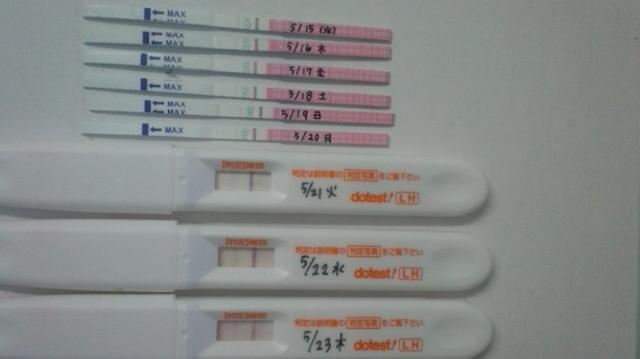 ﾍﾞﾋﾞ待ち 24日目 排卵検査薬反応しました 多嚢胞性卵巣と糖尿病とベビ待ちブログ