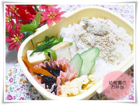 2014年7月3日幼稚園のお弁当