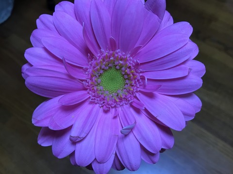 AE3D75BD-27CA-4F26-979B-2821CD2F630E