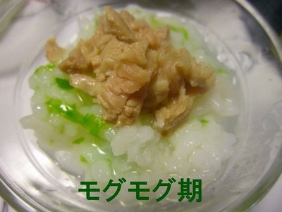 鶏の塩麹丼　モグモグ