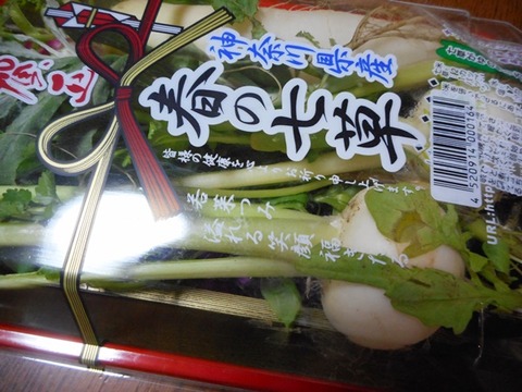 2017年1月6日  (4)