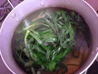 P1010013