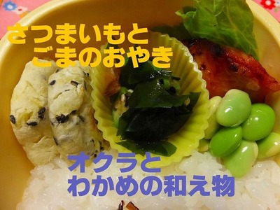 2013年10月11日2