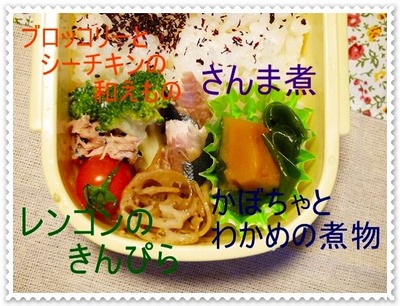 2013年11月13日2
