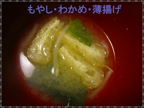 もやし・わかめ・薄揚げ