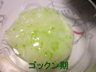 鶏の塩麹丼　ゴックン