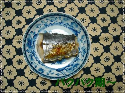 さごしのみそ焼き 取り分けメニュー 離乳食インストラクター協会代表理事 保育士 中田馨の 和の離乳食レシピ Blog