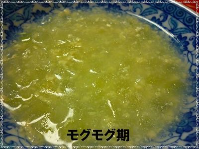 冬瓜と鶏ミンチの煮物　モグモグ期