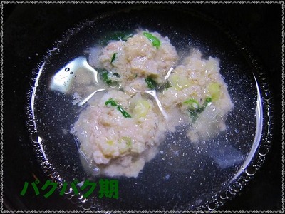 豆腐入り餃子 モ