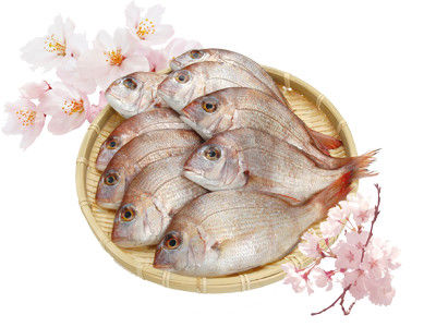 4回目