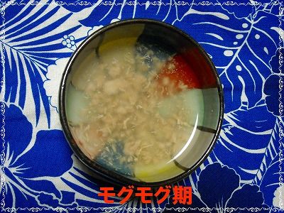 まぐろのしょう油煮 取り分けメニュー 離乳食インストラクター協会代表理事 保育士 中田馨の 和の離乳食レシピ Blog まぐろのしょう油煮 取り分けメニュー 離乳食インストラクター協会代表理事 保育士 中田馨の 和の離乳食レシピ Blog