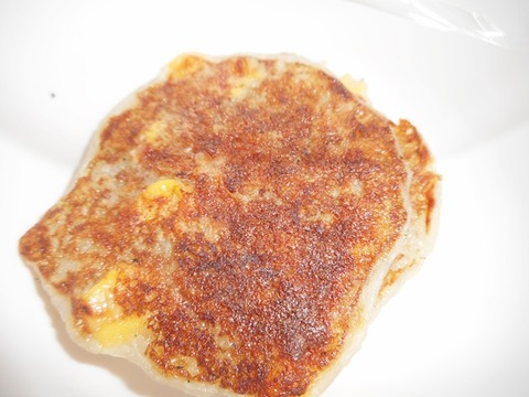 2016年1月29日 (1)