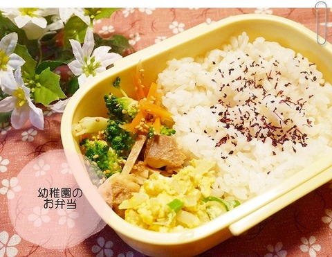 2014年5月29日幼稚園のお弁当 (2)