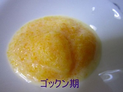 ホワイトシチューゴックン