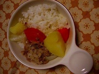 395日目2豆乳野菜煮込みカレー風味