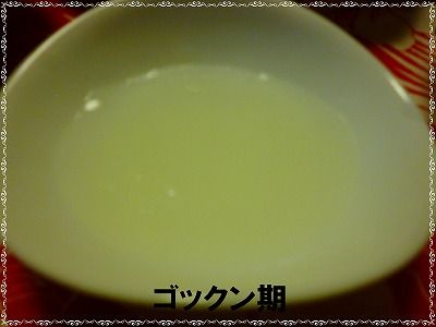 冬瓜と鶏ミンチの煮物　ゴックン期