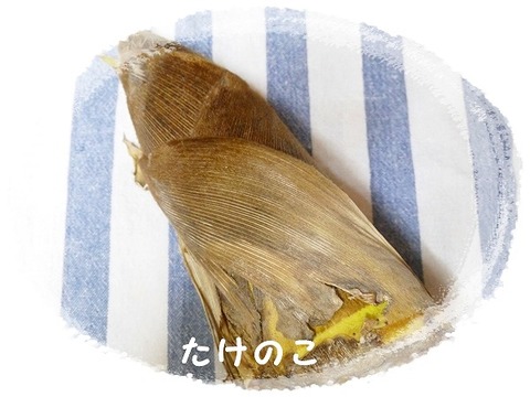 調理法　たけのこ