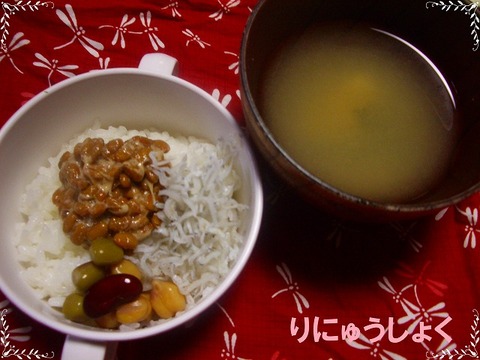 1月28日2回目