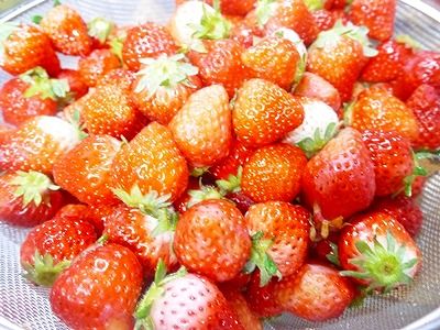 イチゴジャム (5)