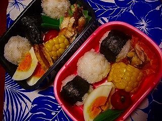 （456日目夕）