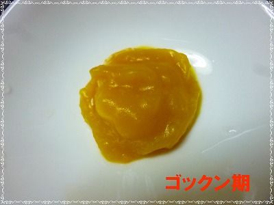 かぼちゃの含め煮　ゴックンモグモグ
