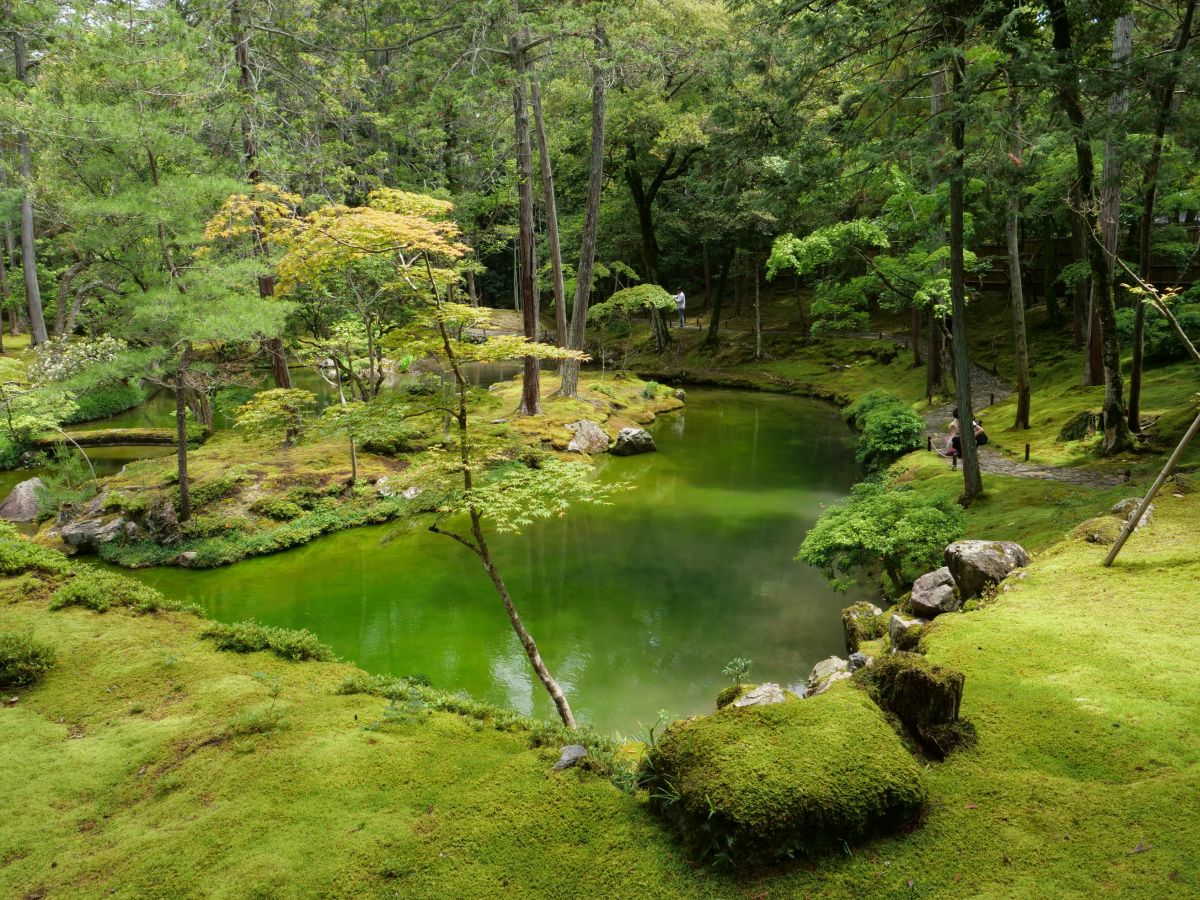 西芳寺（苔寺） 京都市西京区 : 三奥山房