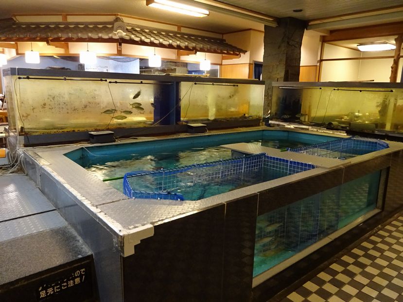 赤穂の水族館割烹でいただく品数豊富な夏色御膳 鹿久居荘 赤穂 バッカスのグルメ日記
