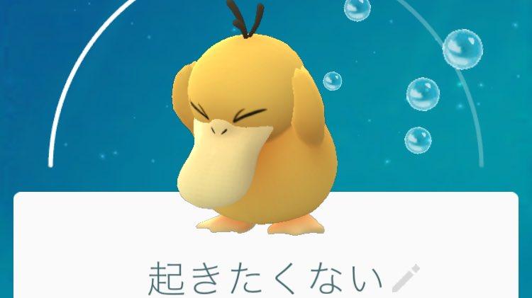 【500+件】おもしろ画像|おすすめの画像 ...