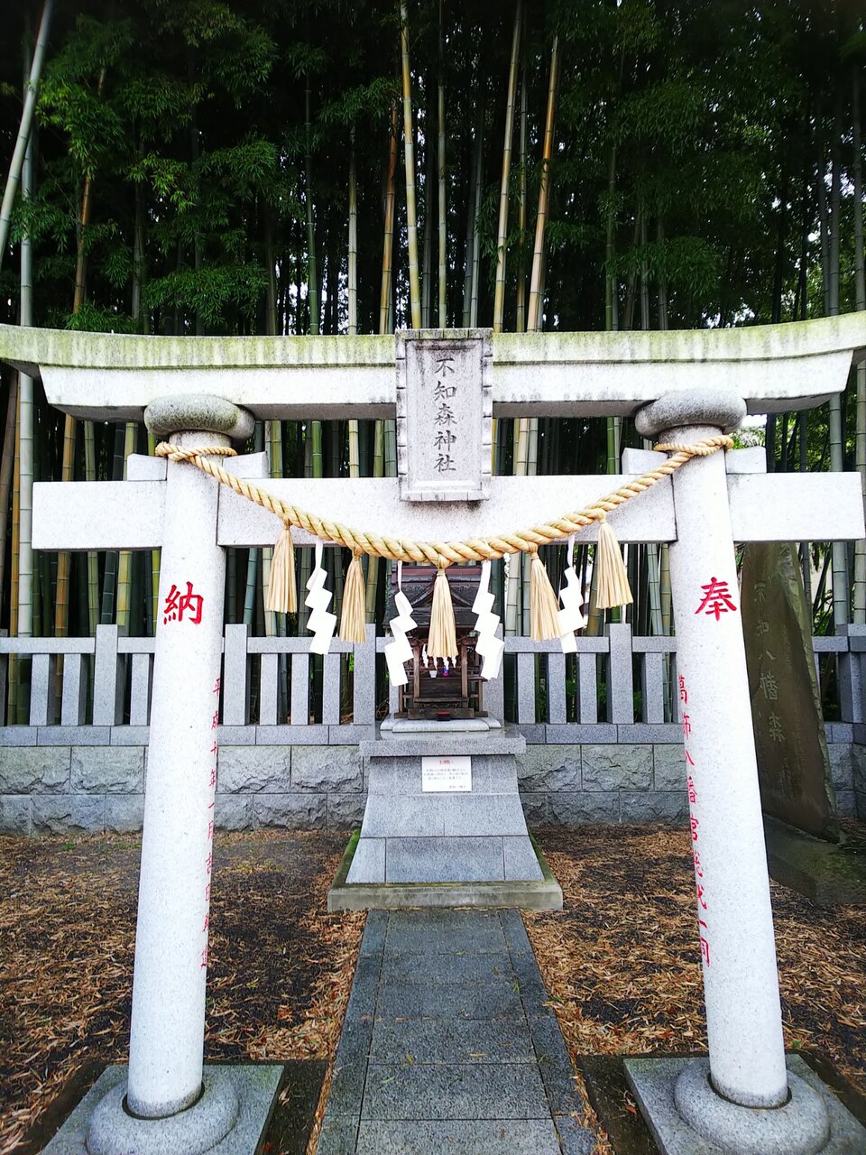 八幡の藪知らず 憂鬱なキックボクサー