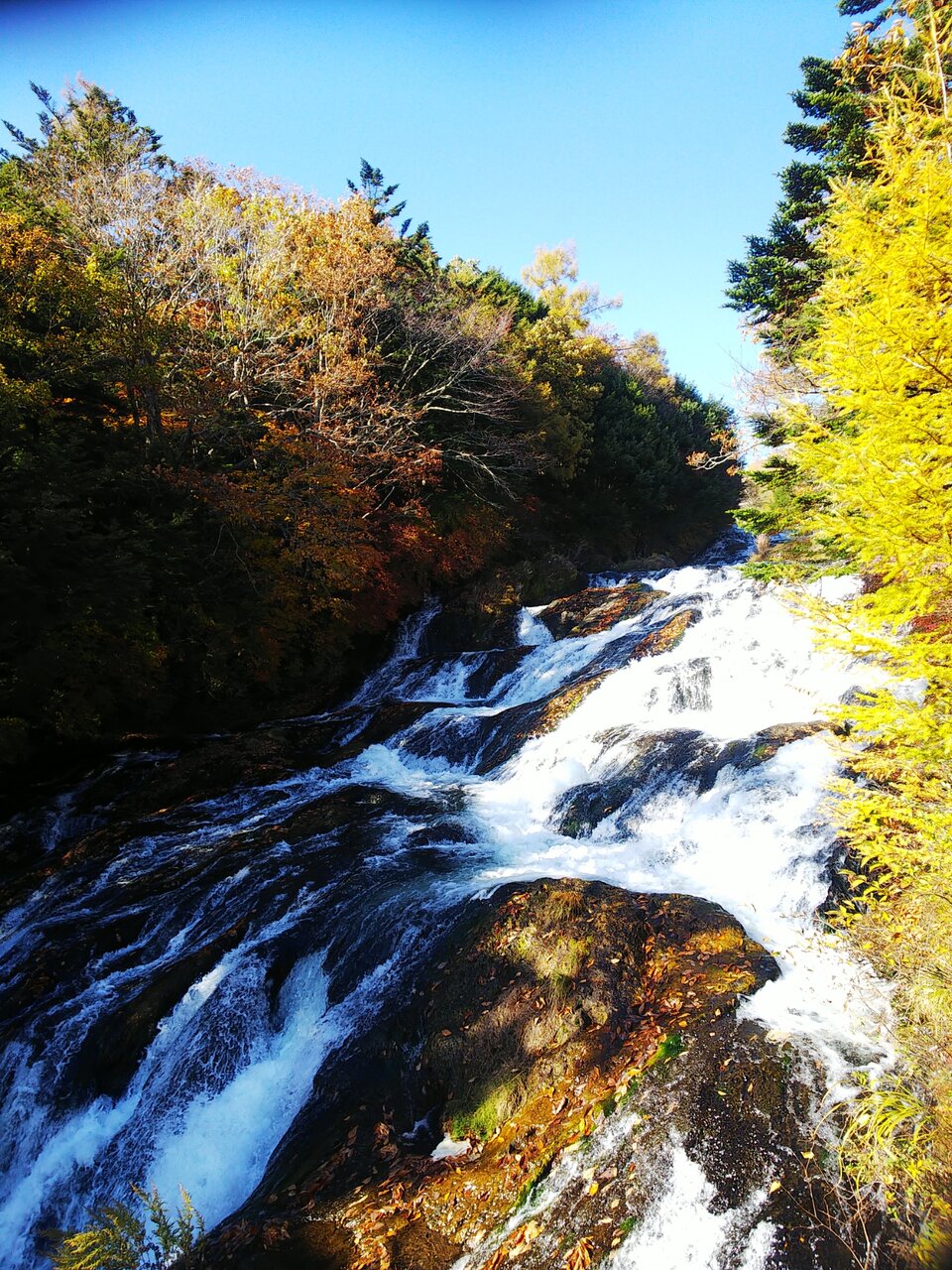 日光の紅葉 憂鬱なキックボクサー 日光の紅葉 憂鬱なキックボクサー