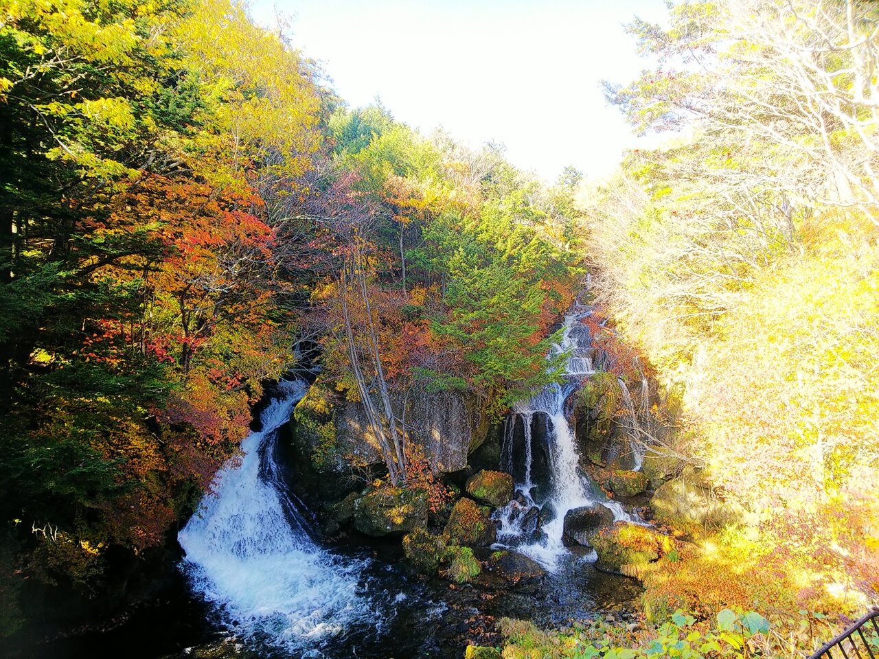 日光の紅葉 憂鬱なキックボクサー 日光の紅葉 憂鬱なキックボクサー