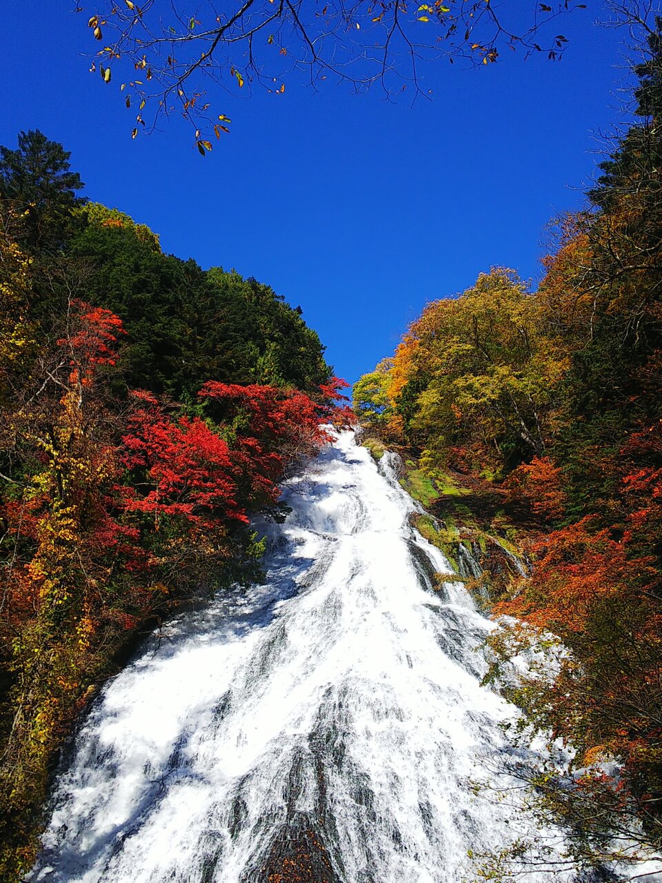 日光の紅葉 憂鬱なキックボクサー 日光の紅葉 憂鬱なキックボクサー