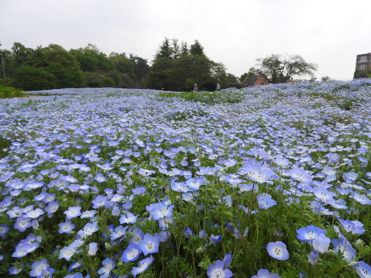 東武トレジャーガーデン 憂鬱なキックボクサー