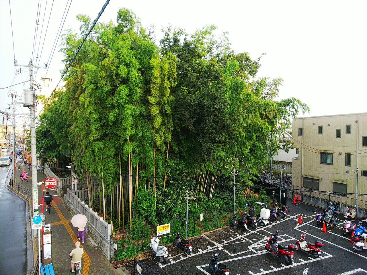 八幡の藪知らず 憂鬱なキックボクサー
